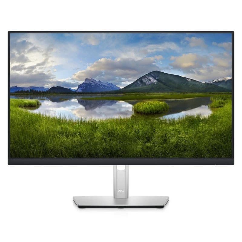DELL P Series P2422HE LED display 60,5 cm (23.8") 1920 x 1080 Pixel Full HD LCD Schwarz