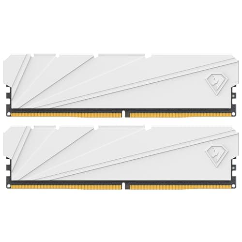 Netac DDR4 RAM 16GB (2x8GB) 3200MHz C16 XMP 2.0 High Performance Desktop Workstation Kit, weiß