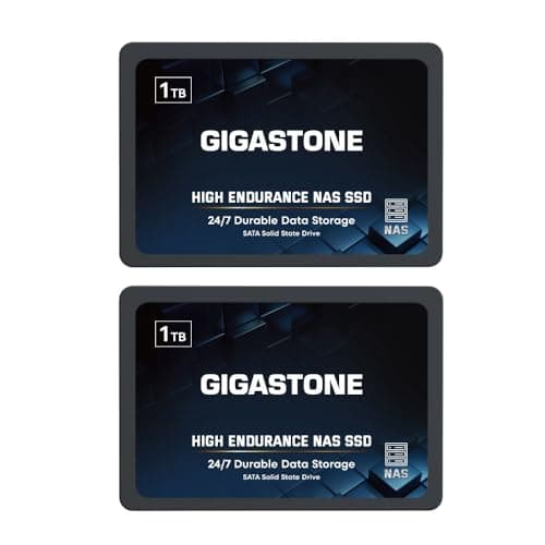 Gigastone NAS Zertifiziert 1TB SSD Festplatte (2er-Pack) TLC Hohe Dauerhaltbarkeit SSD für 24/7 Dauerbetrieb NAS-Systeme RAID 2,5 Zoll SATA III Internes Festkörper-Laufwerk SSD Caching