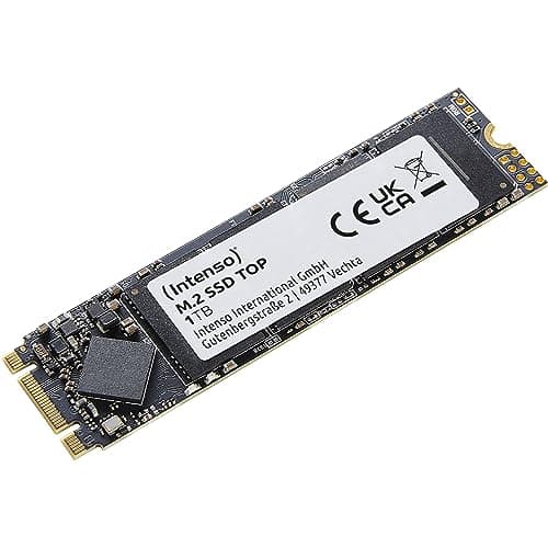 Intenso Interne M.2 SSD SATA III Top, 1 TB, 550MB/Sekunde