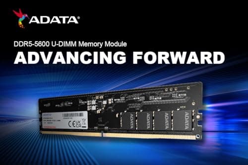 ADATA DDR5 16GB 5600-46 Premier Tray Single Tray Bild 4