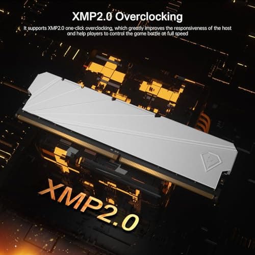 Netac 32GB (2x16GB) DDR4 3200MHz C16 XMP 2.0 High Performance Desktop Workstation Kit, weiß 2×16GB Bild 7
