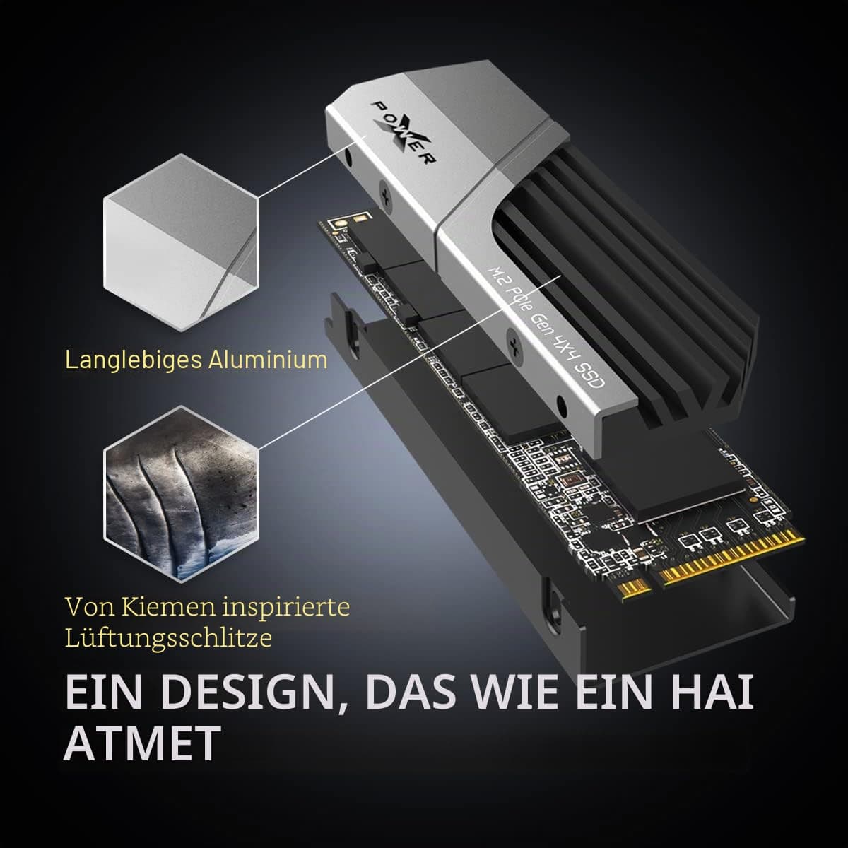 Silicon Power 1TB XS70 – funktioniert mit PlayStation 5, Nvme PCIe Gen4 M.2 2280 interne Gaming SSD W/R bis zu 7.300 MB/6.000/s (SP01KGBP44XS7005) Bild 7