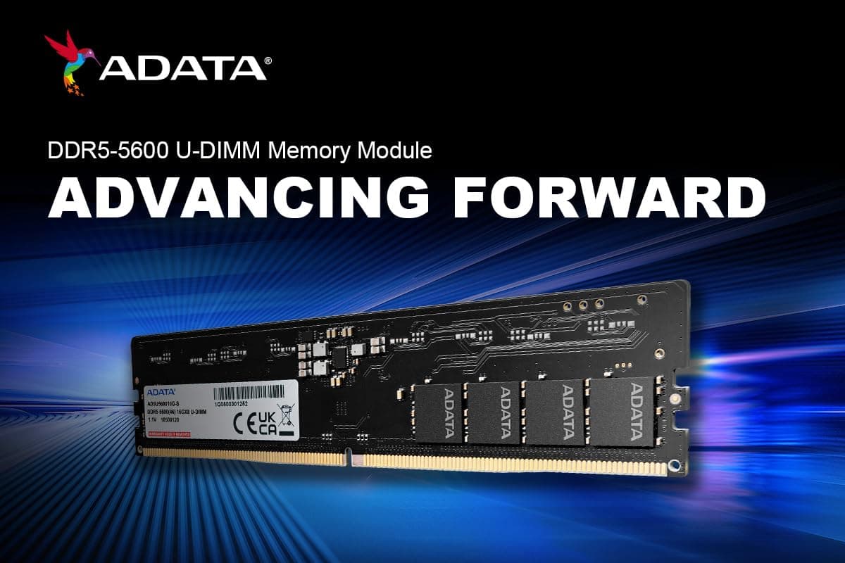 ADATA DDR5 16GB 5600-46 Premier Tray Single Tray Bild 3
