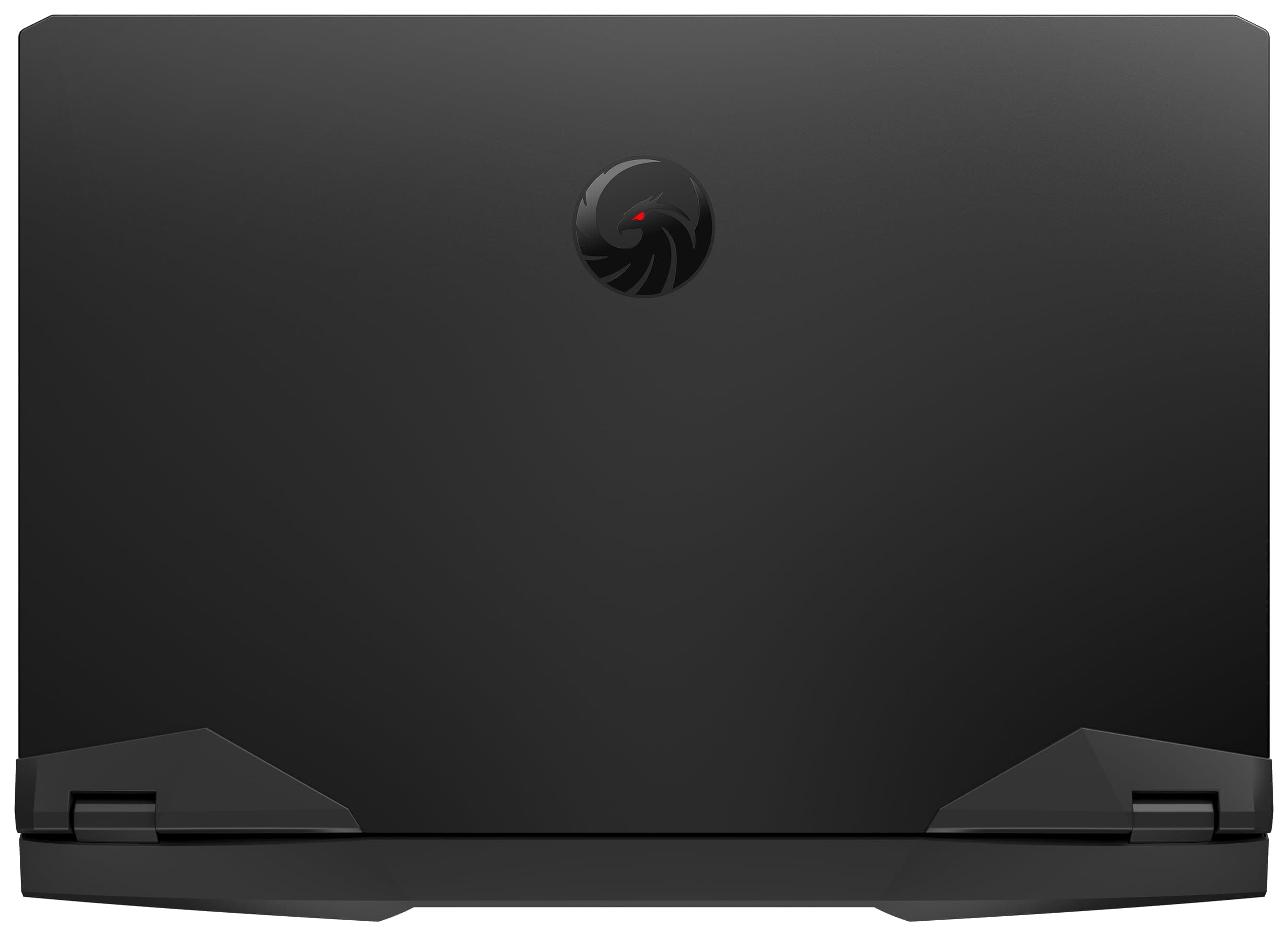 MSI Alpha 17 C7VG-031, Gaming Laptop, 43,9 cm (17,3 Zoll) QHD, 240 Hz, AMD Ryzen 9 7945HX, 32 GB DDR5-5200, 1 TB SSD, NVIDIA GeForce RTX 4070, Windows 11 Home, QWERTZ Tastatur, Schwarz Ryzen 9 RTX4070 8GB Bild 8