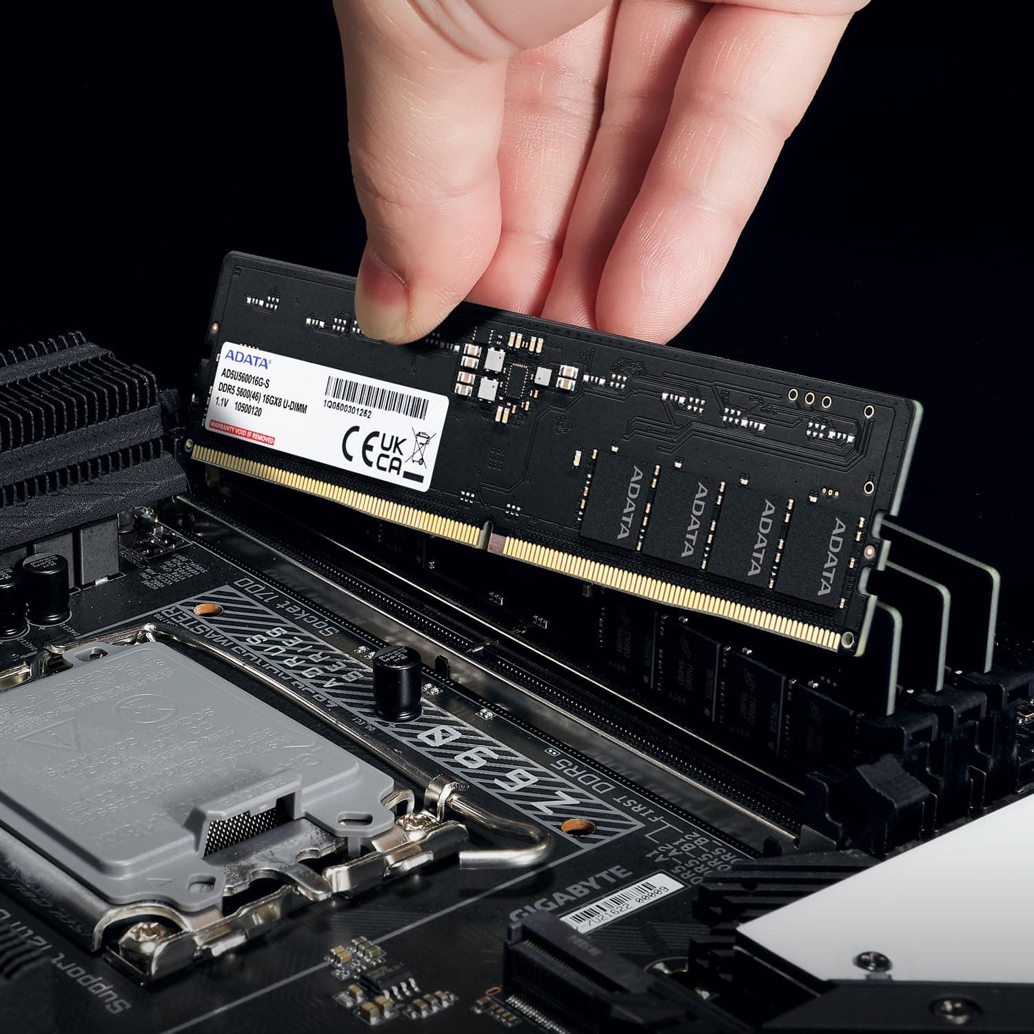 ADATA DDR5 16GB 5600-46 Premier Tray Single Tray Bild 5
