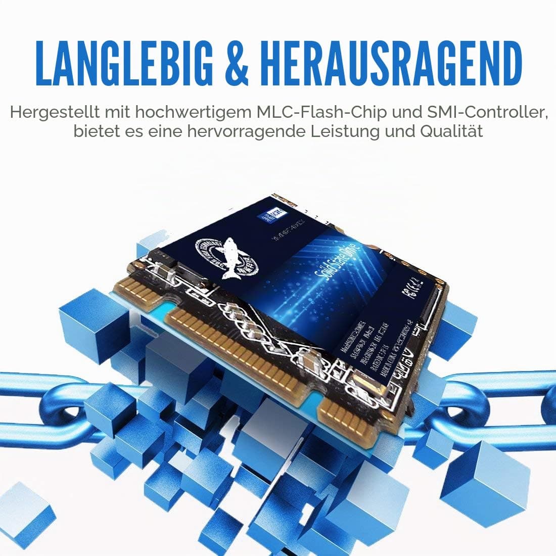 Dogfish 4TB SSD M.2 2280 SATA III Internal Solid State Drive 3D-NAND 6Gb/s NGFF Intern Festplatte Für Desktop Laptop Bild 6