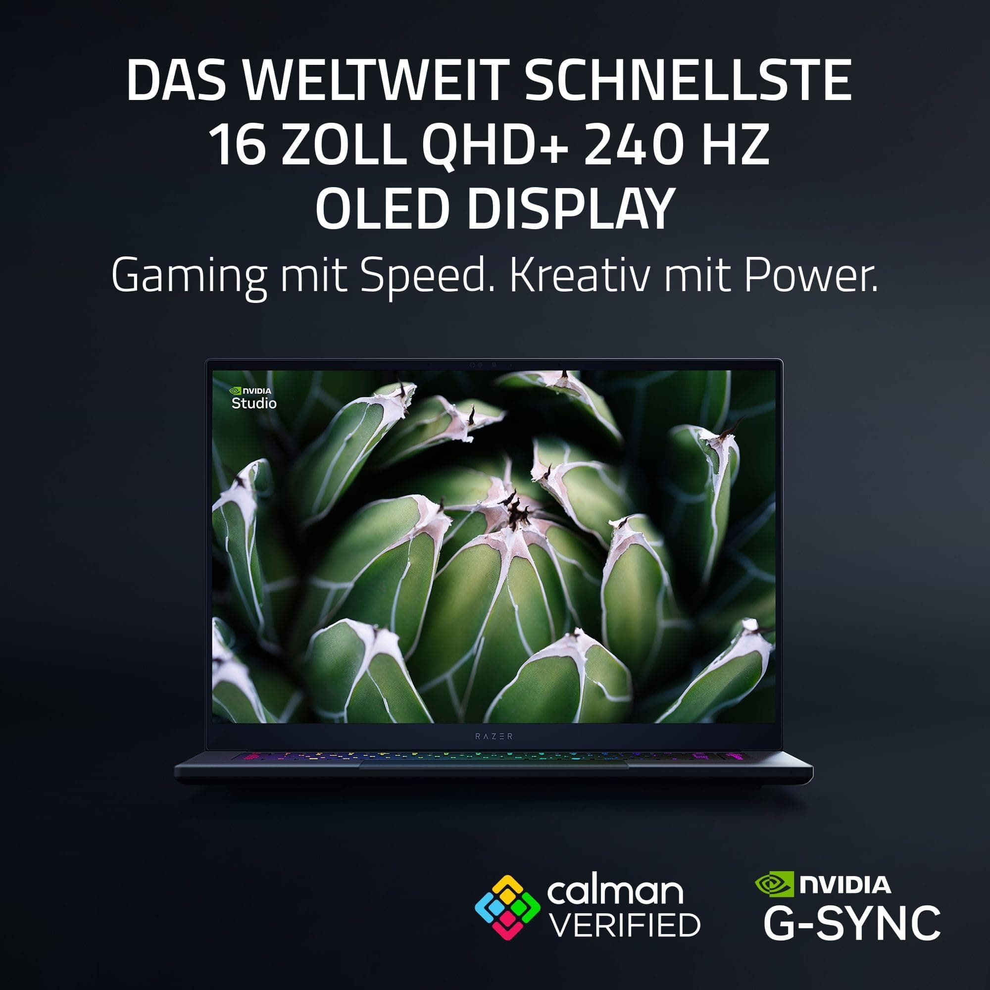 Razer Blade 16 (2025) - 16 Zoll AI Gaming Laptop - NVIDIA GeForce RTX 5060 - AMD Ryzen AI 9 365-16" QHD+ 240Hz OLED Display - 16GB LPDDR5X 8000 MHz - 1TB SSD - QWERTZ DE-Layout | Schwarz RTX5060 | 16GB | 1TB Bild 6
