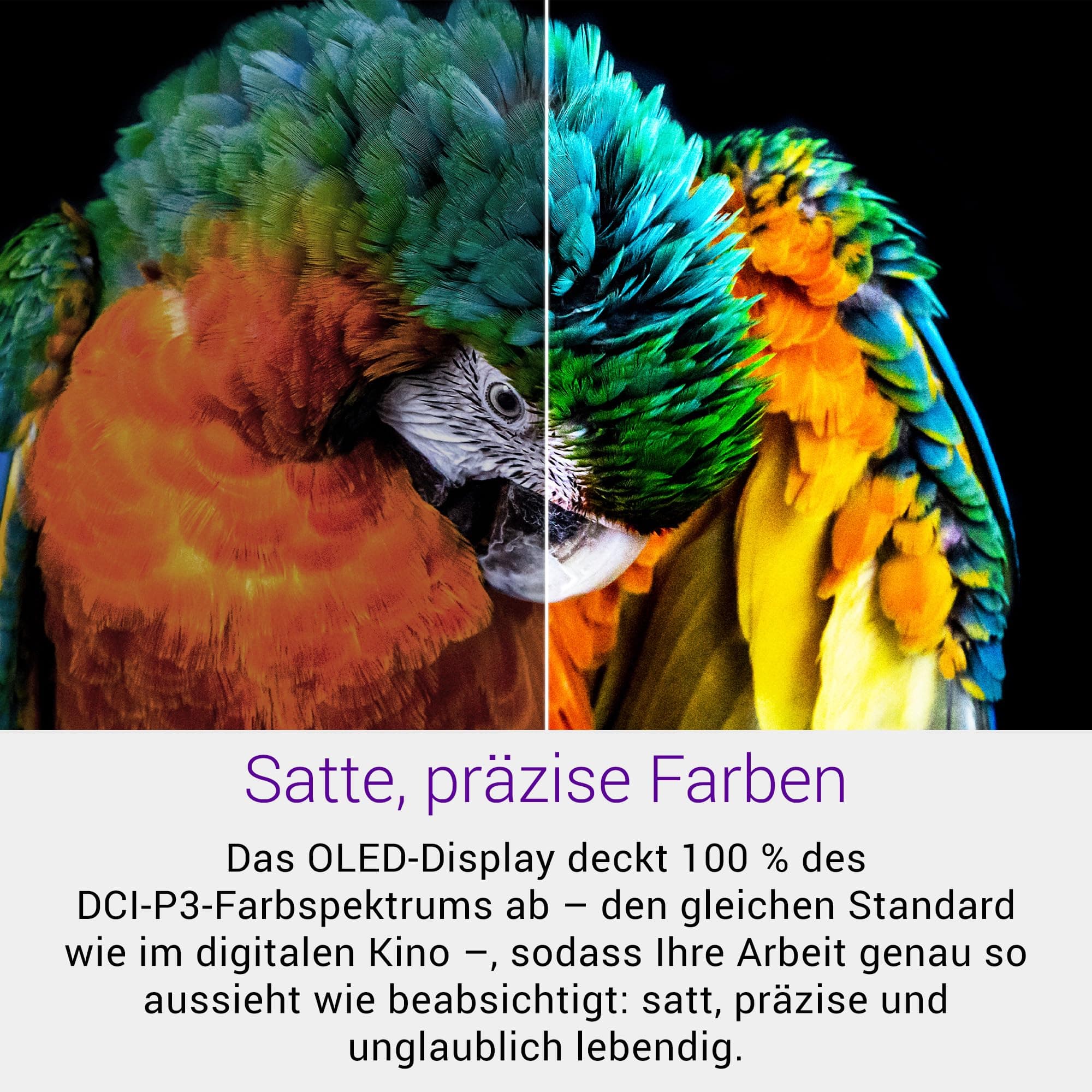 Dell 16 Premium Laptop DA16250-16,3" 4K OLED Touchscreen 120Hz, Intel Core Ultra 9 285H, RTX 5070, 32GB RAM, 1TB SSD, Windows 11 Home, Studio-Audio, QWERTZ, Platinum - 1 Jahr Dell Care Plus Intel Core Ultra 9 285H (16 Cores, up to 5.4GHz Turbo) 32 GB Windows 11 Home Bild 3