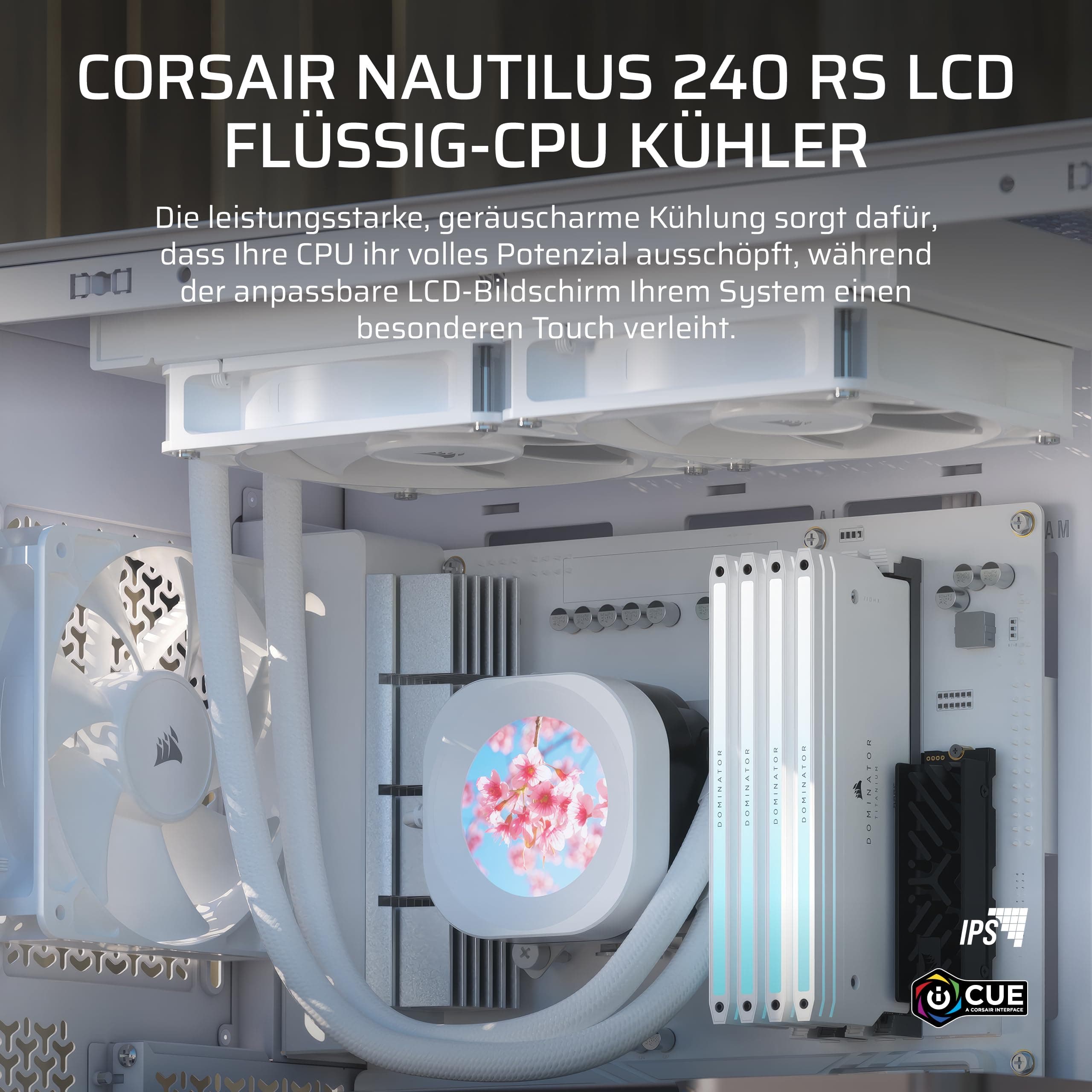 CORSAIR Nautilus 240 RS LCD Flüssig-CPU-Kühler – 2,1-Zoll-IPS LCD-Bildschirm, 240mm AIO, Einfache Daisy-Chain-Verbindungen, Intel LGA 1851/1700, AMD AM5/AM4 – Enthält 2X RS120-Lüfter – Weiß Bild 3